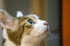 好奇心フルチャージ。