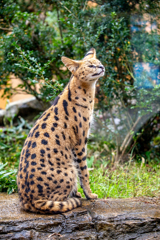 異次元スタイル。