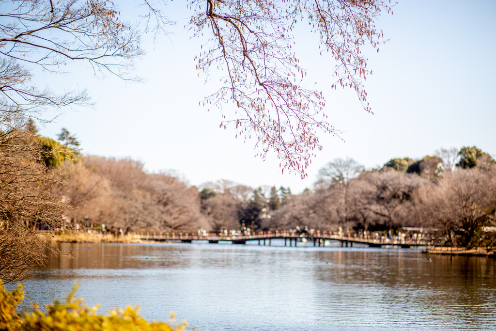 寒空。