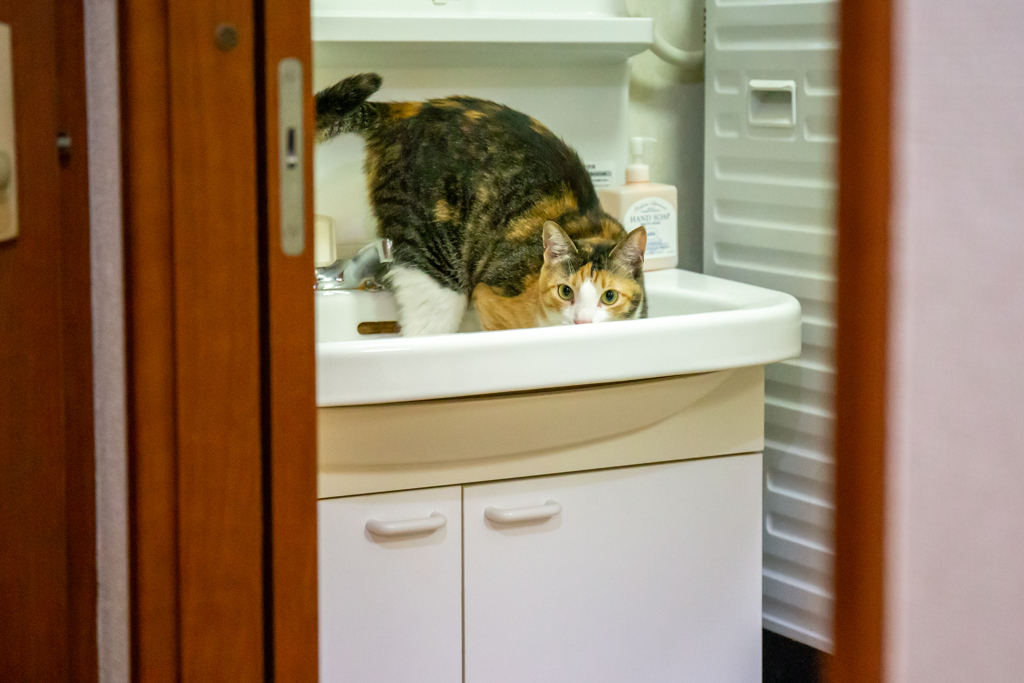 ミッション・イン・シンク。