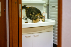 ミッション・イン・シンク。 ミッション・イン・シンク。