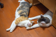 腕まくら。