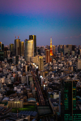 東京タワー、ひときわ。