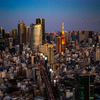 東京タワー、ひときわ。