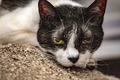 むすっ顔もご褒美。