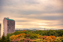 夕映えのパレット。