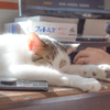 あったかーい。