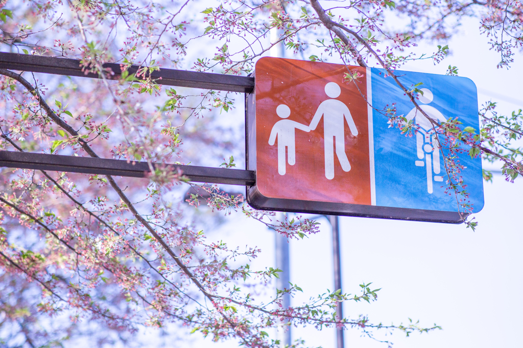 葉桜の中を歩く。