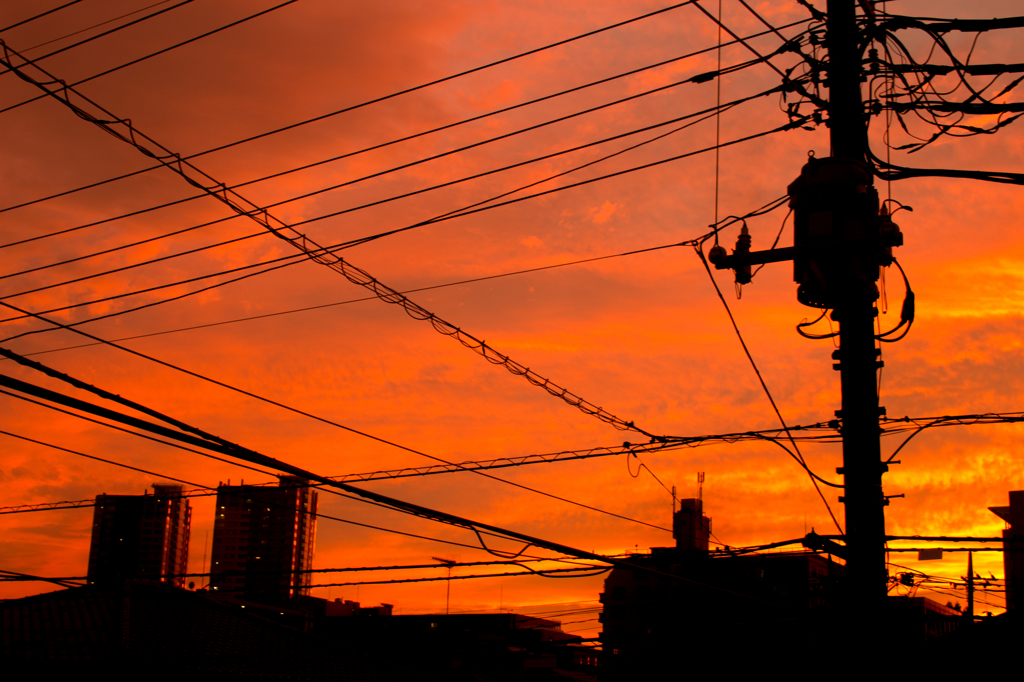 夕焼けと電線。