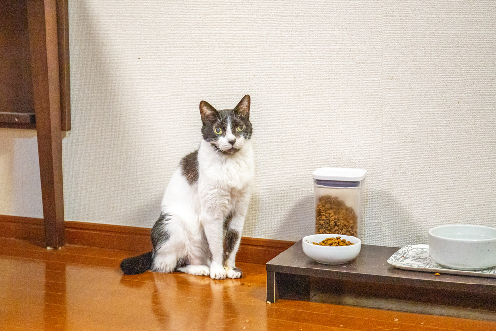 まだ足りません。