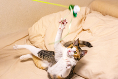 頑張れ～。