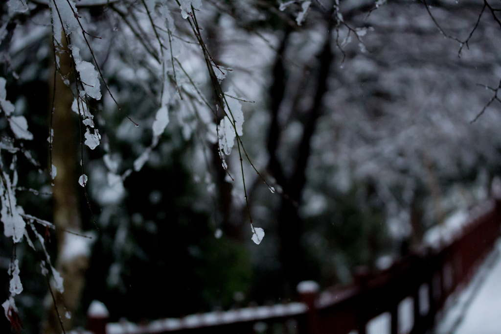 雪。