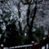 雪。