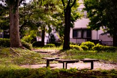 季節の待ち合わせ。