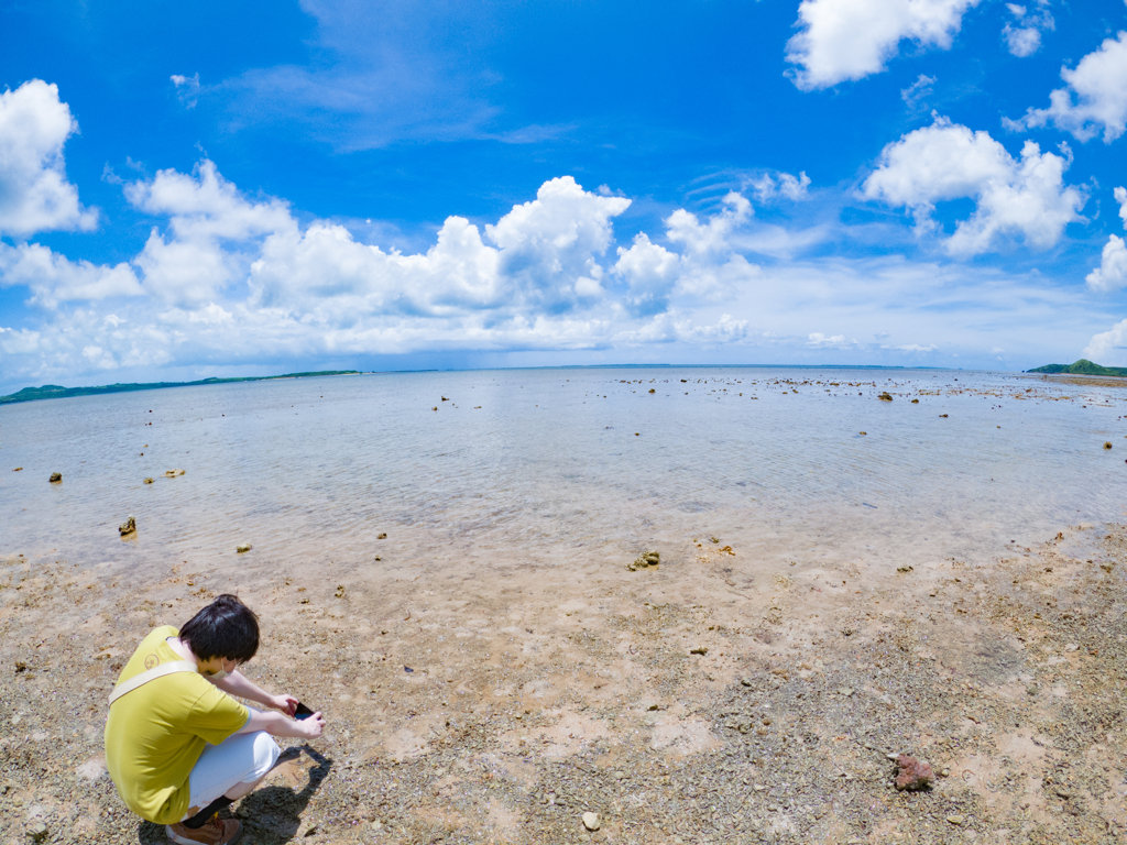 海辺の生き物観察。