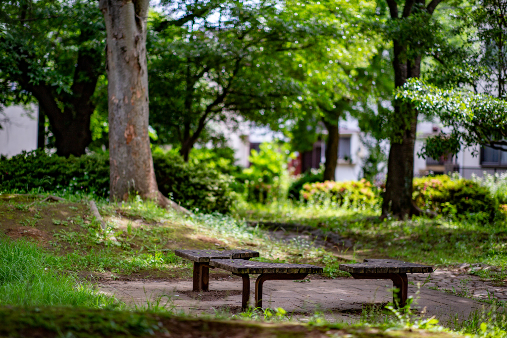 静かな公園のベンチ。