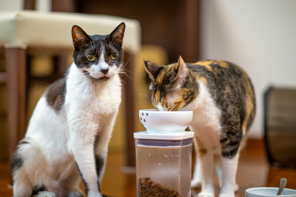 視線の温度差。