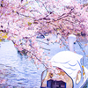 桜とスワンボートの別れ。