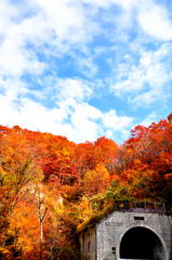 トンネルを抜けると　そこは紅葉だった