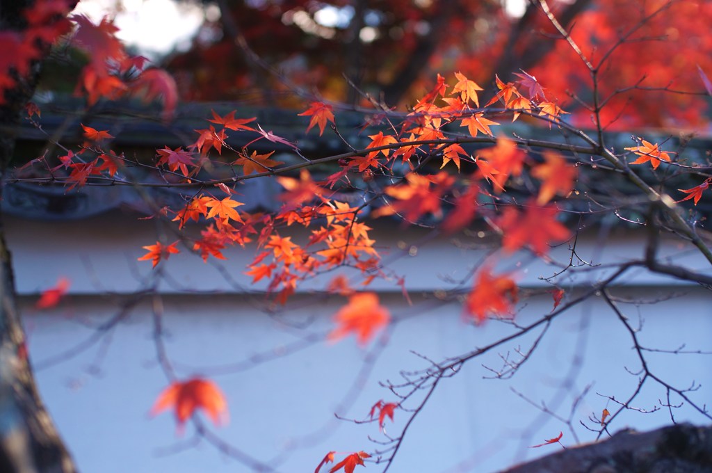 2015.11.27　kyoto