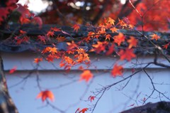 2015.11.27　kyoto