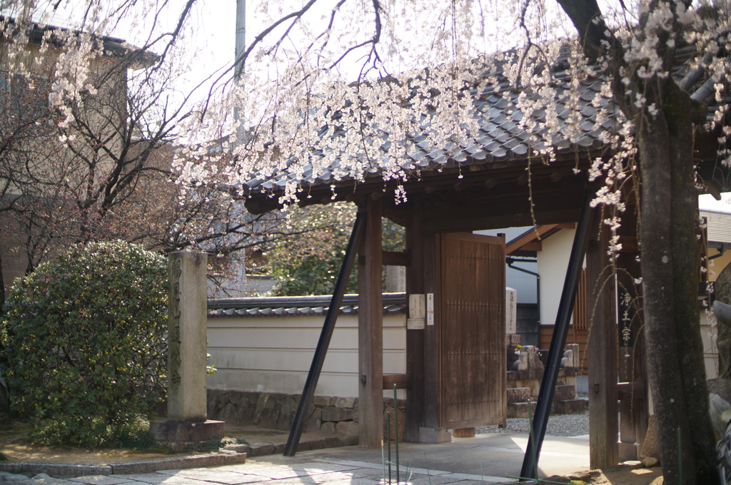 退休寺