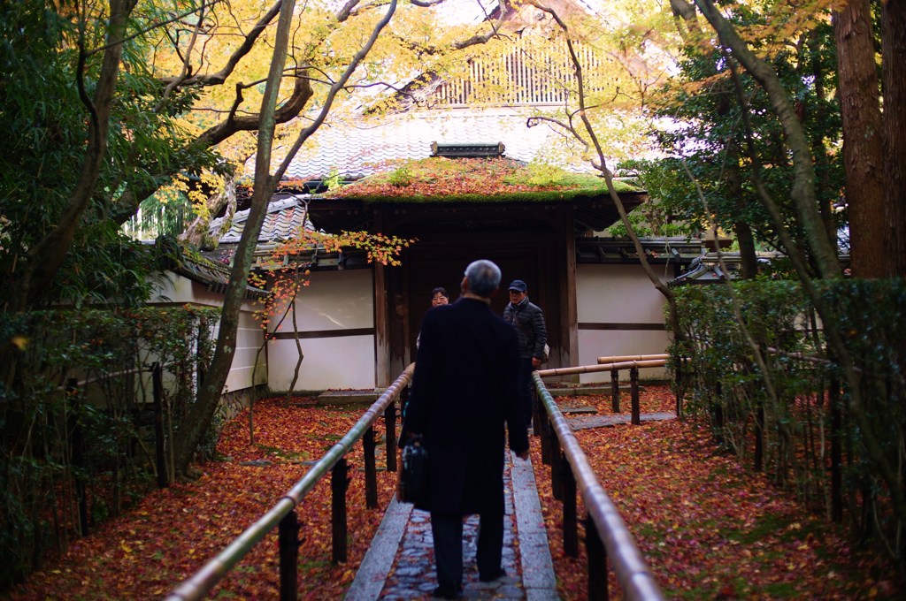 2015.11.27 kyoto 