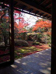 京都　大法院