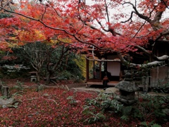京都　