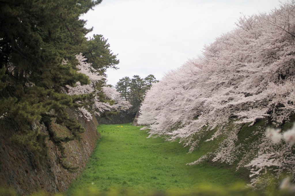 名古屋城　外堀