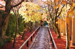 光悦寺