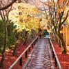 光悦寺