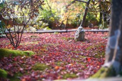 直指庵