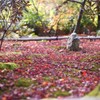 直指庵