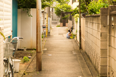 2015May17
