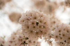 2015Mar30