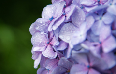 2015Jun19