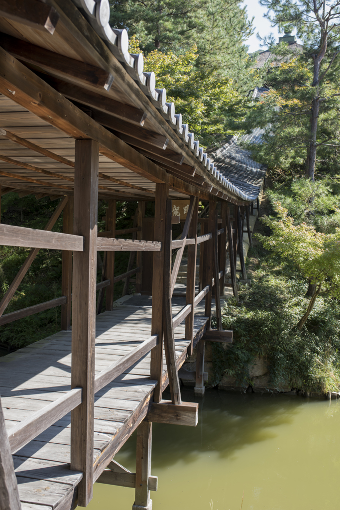 高台寺②
