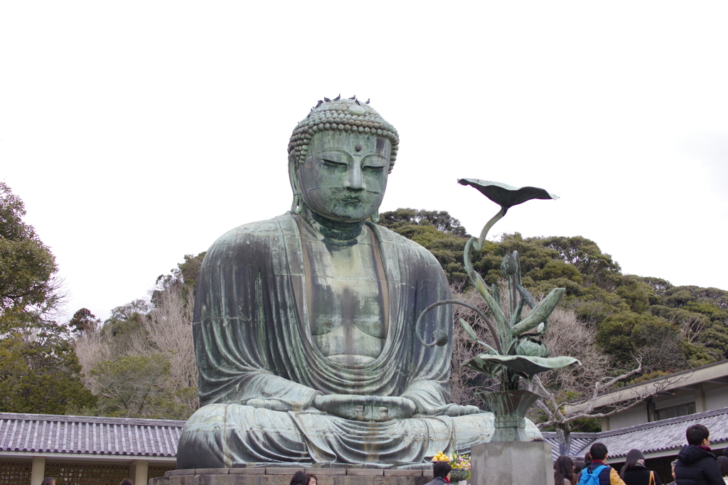 鎌倉大仏