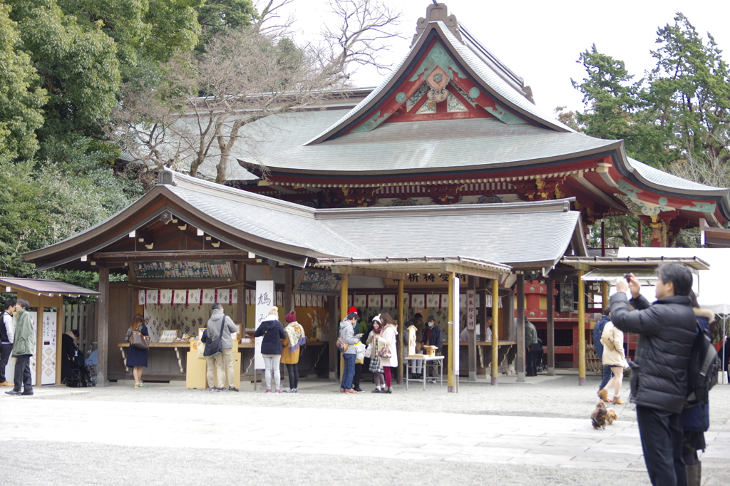 鶴岡八幡宮_１