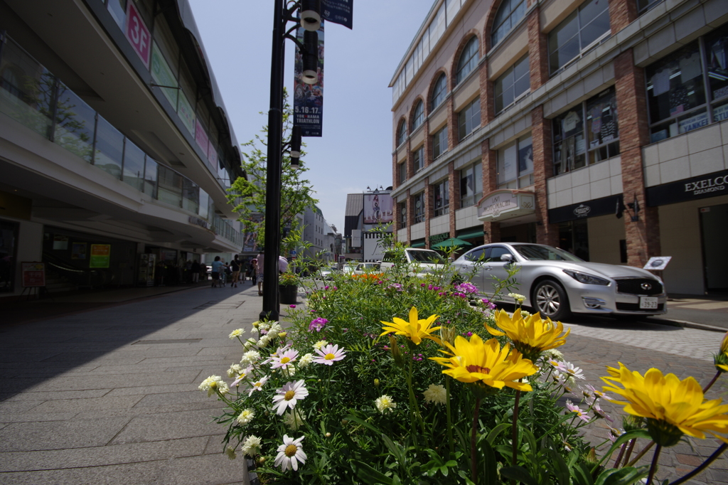 横浜_町並み_2
