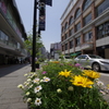 横浜_町並み_2