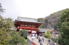 鶴岡八幡宮_2