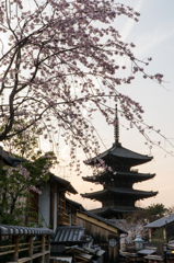 京都スナップ１
