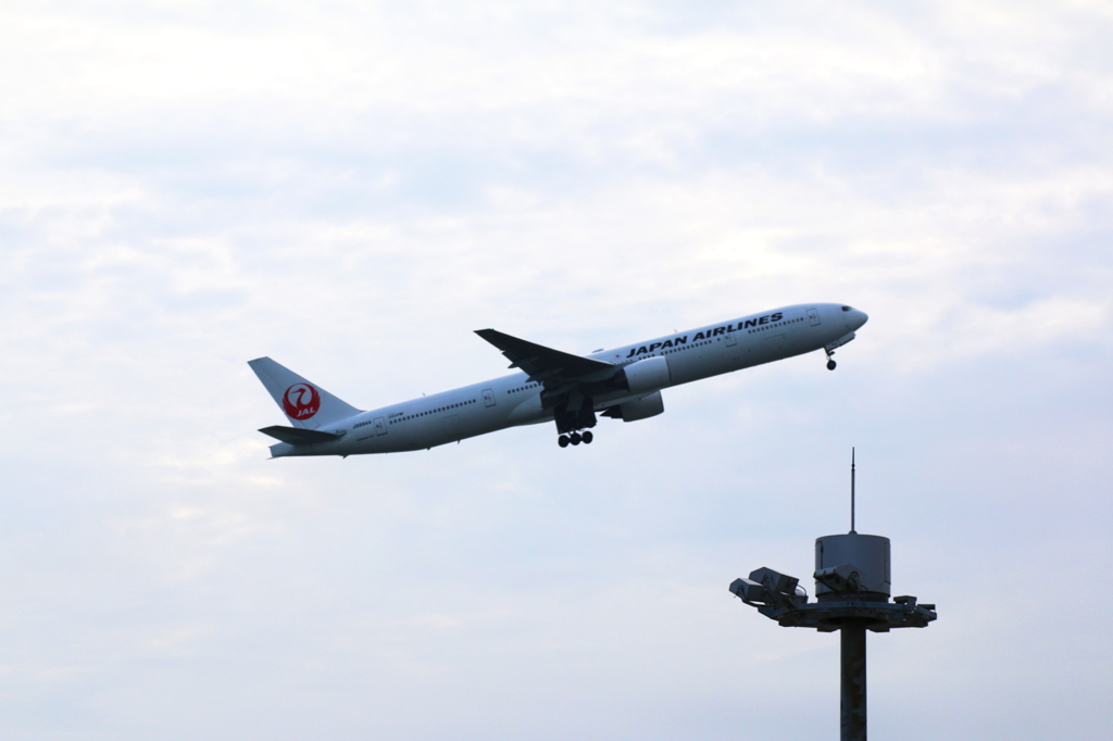 初めての飛行機写真