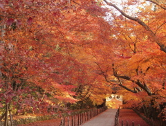 光明寺-07