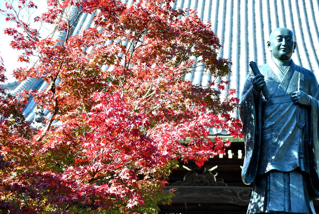 光明寺　紅葉05