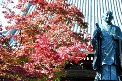 光明寺　紅葉05