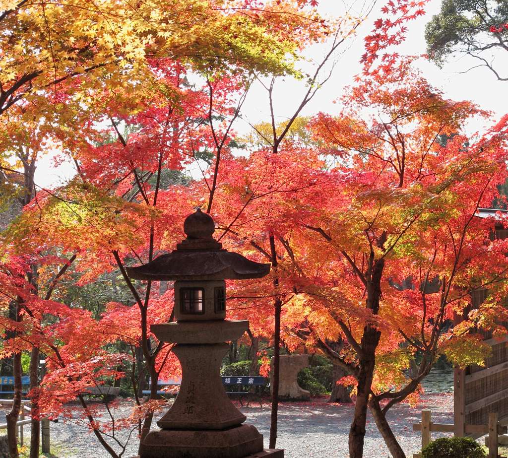 大原野神社_07