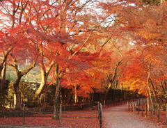 光明寺-17